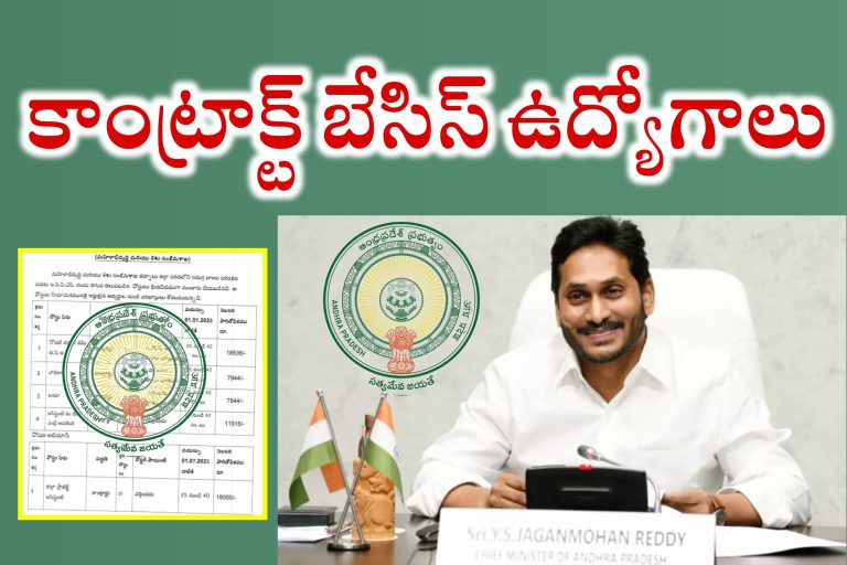 AP Contract Basis Jobs New Notification 2024 | ఆంధ్రప్రదేశ్ ప్రభుత్వ కాంట్రాక్ట్ బేసిస్ ఉద్యోగాలు | AP Government Contract Basis Jobs 2024