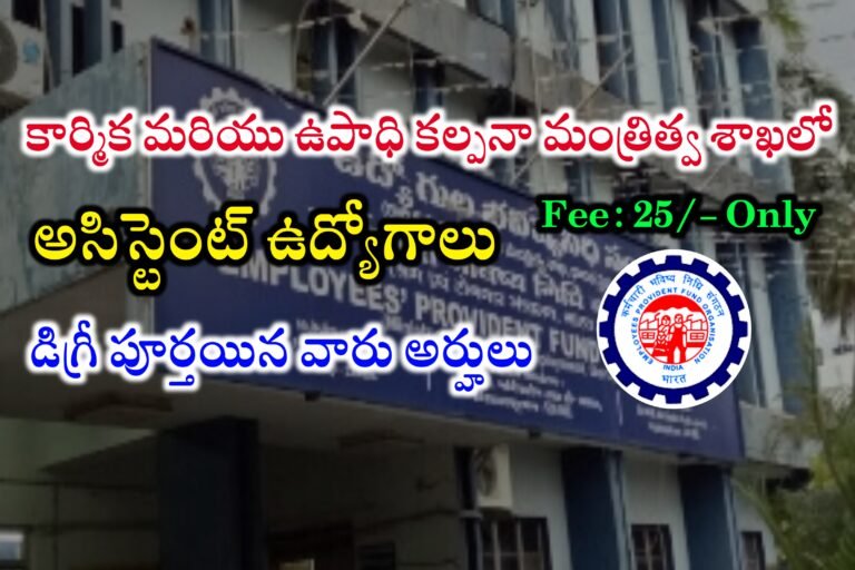 డిగ్రీ అర్హతతో పర్సనల్ అసిస్టెంట్ ఉద్యోగాలు | EPFO Personal Assistant Jobs Recruitment 2024 | Latest Central Government Jobs Recruitment 2024
