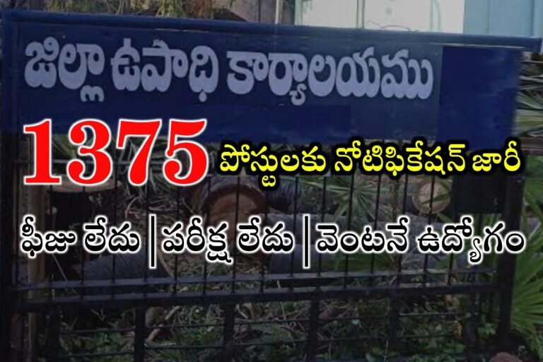 1375 పోస్టులకు జిల్లా ఉపాధి కార్యాలయంలో ఎంపికలు | District Employment Office Job Mela | AP Latest jobs Notifications