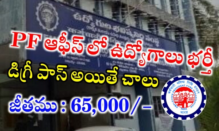 PF ఆఫీస్ లో డిగ్రీ అర్హతతో ఉద్యోగాలు భర్తీ | EPFO Young Professional Recruitment 2024 | Latest jobs Notifications in Telugu