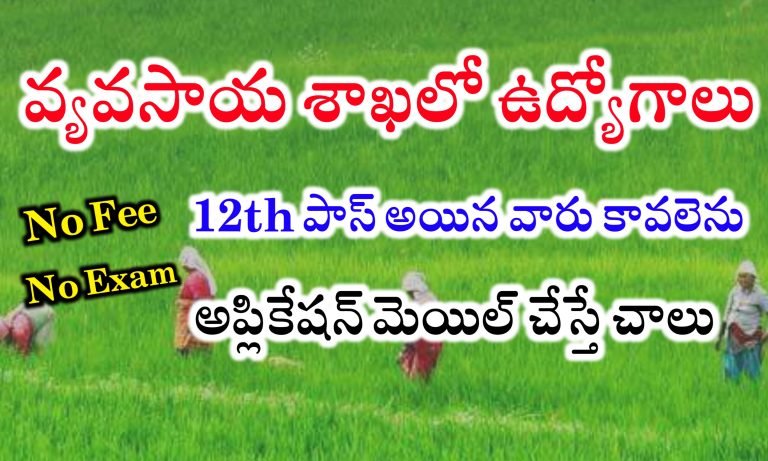 వ్యవసాయ శాఖలో 12వ తరగతి అర్హతతో ఉద్యోగాలకు దరఖాస్తుల ఆహ్వానం | ICAR – NISA Notification 2024 | Latest Agriculture Department Jobs