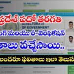 How to Check Andhra Pradesh 10th Class Recounting and Re Verification Results in mobile