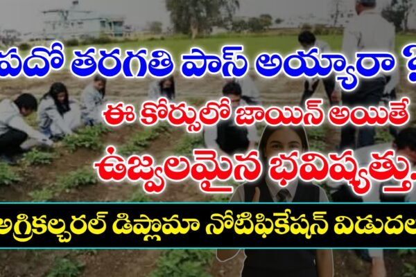 NG Agriculture University Agriculture Diploma Admissions