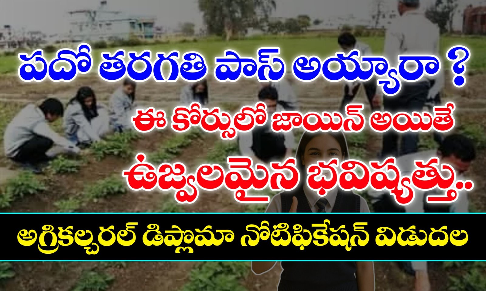 NG Agriculture University Agriculture Diploma Admissions