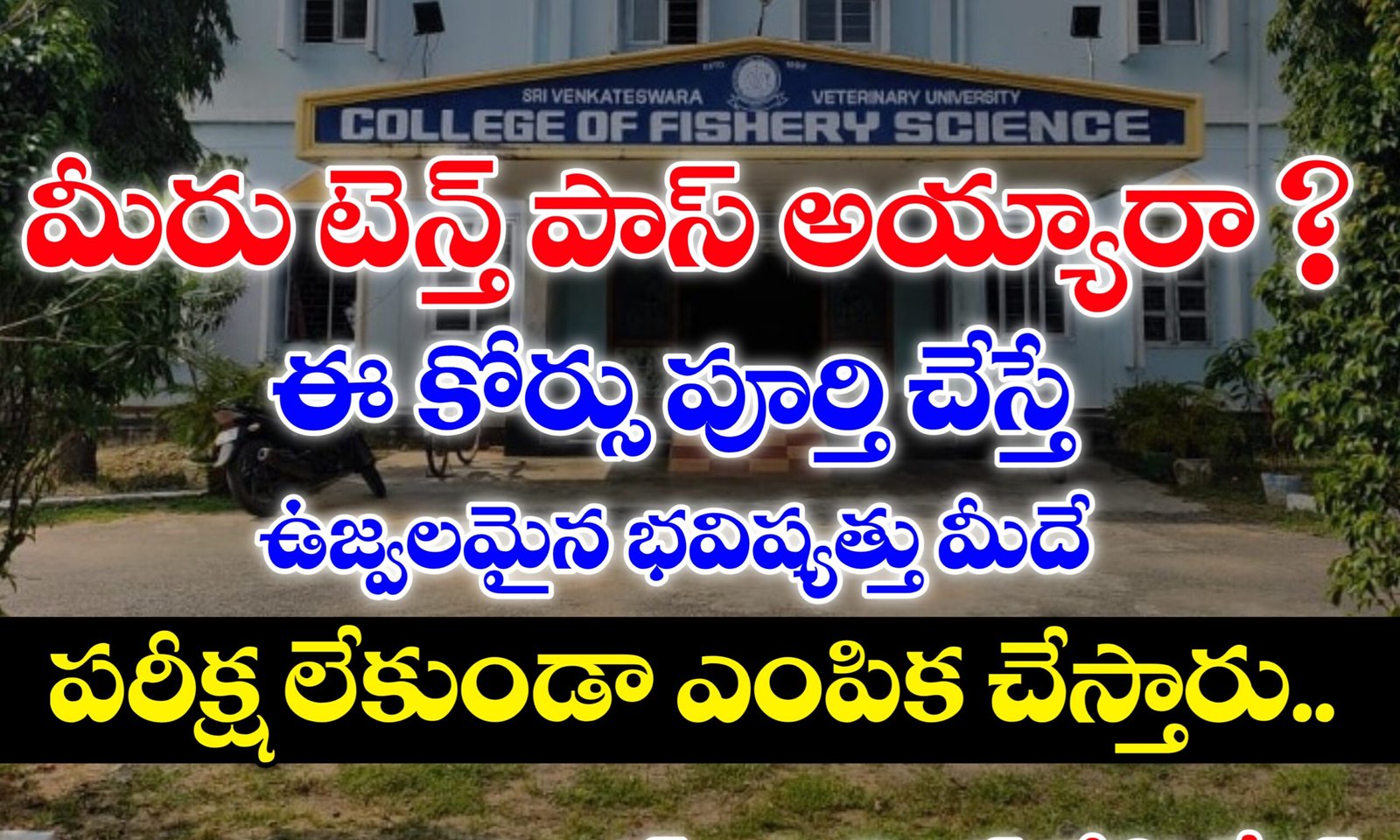 Diploma in Fisheries Course Details in Telugu