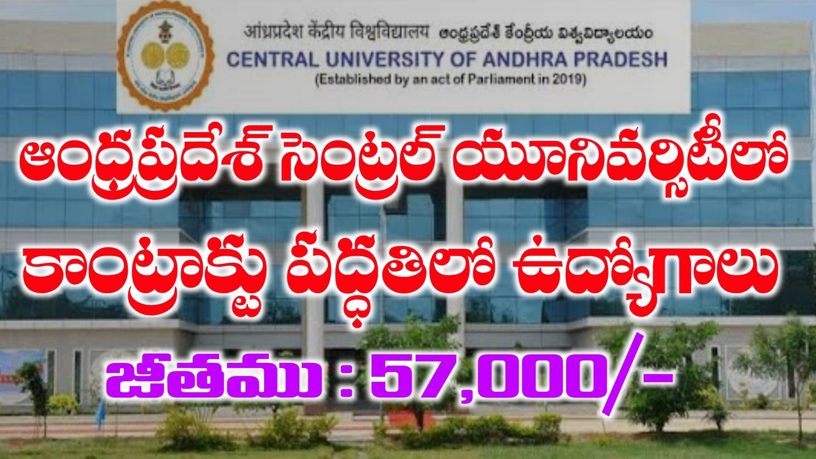 సెంట్రల్ యూనివర్సిటీ ఆఫ్ ఆంధ్ర ప్రదేశ్ - Central University of Andhra Pradesh Jobs