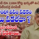 దీపం పథకం స్టేటస్ | Deepam Scheme Status