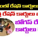 ఏపీ కొత్త రేషన్ కార్డులు