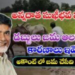 పీఎం కిసాన్ - అన్నదాత సుఖీభవ పథకం
