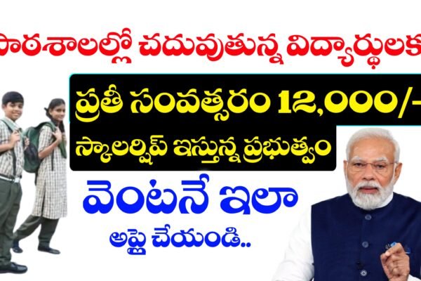 NMMSS Scholarship 2025