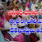 ఎన్టీఆర్ భరోసా పెన్షన్లు పథకంలో స్పౌజ్ క్యాటగిరి పెన్షన్లు