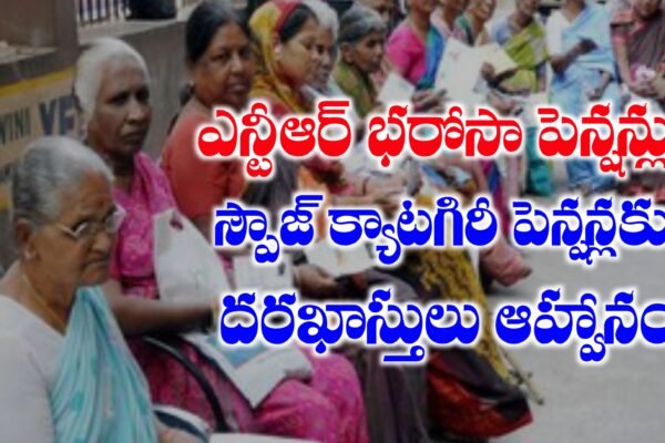 ఎన్టీఆర్ భరోసా పెన్షన్లు పథకంలో స్పౌజ్ క్యాటగిరి పెన్షన్లు