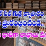 Wholesale Egg Business Plan