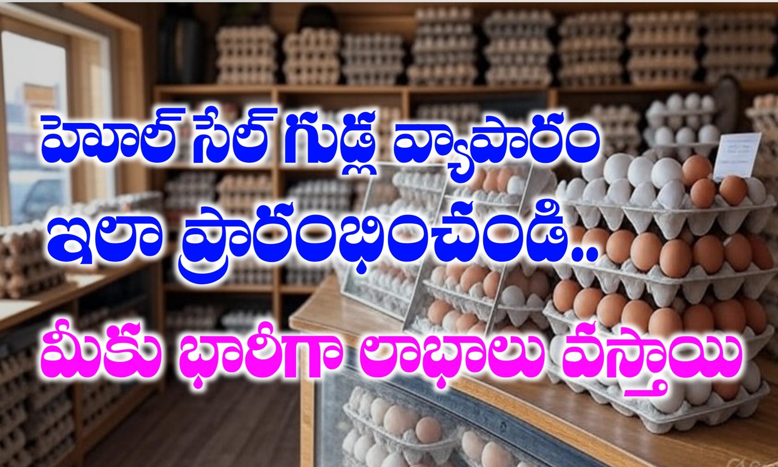 Wholesale Egg Business Plan