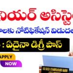 జూనియర్ అసిస్టెంట్ ఉద్యోగాలు