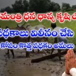 ప్రధానమంత్రి ధన ధాన్య కృషి యోజన పథకం