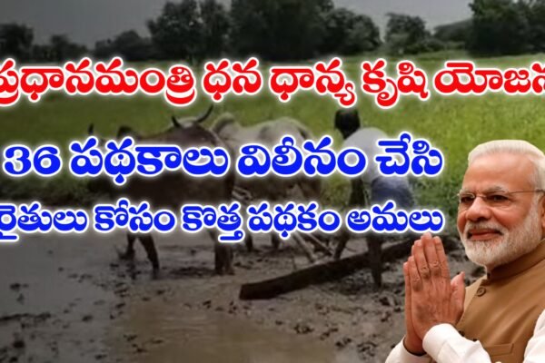 ప్రధానమంత్రి ధన ధాన్య కృషి యోజన పథకం