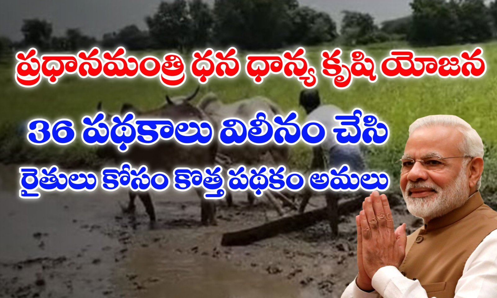 ప్రధానమంత్రి ధన ధాన్య కృషి యోజన పథకం