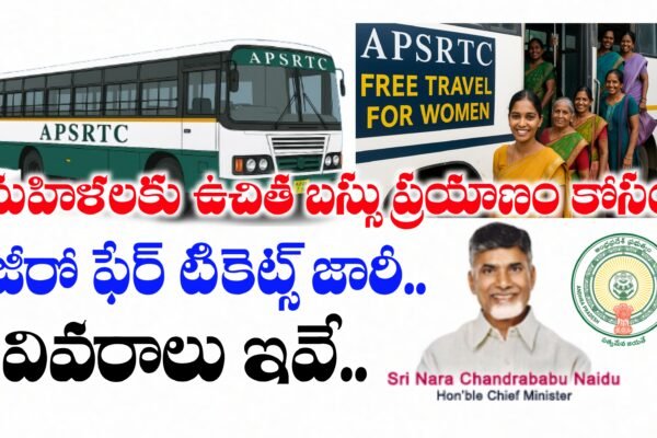 AP Free Bus Scheme Zero fare ticket details