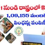 NTR Bharosha Pension Status