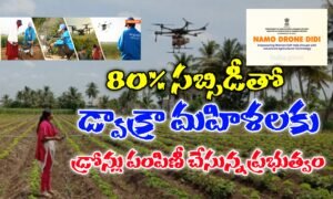 నమో డ్రోన్ దీదీ పథకం అప్లై విధానం