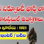 BSF Head Constable Notification 2025