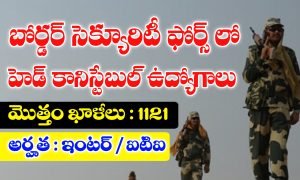 BSF Head Constable Notification 2025