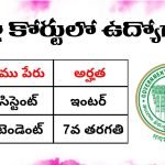 తెలంగాణ జిల్లా కోర్ట్ ఉద్యోగాలు