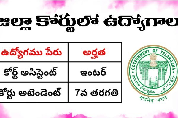 తెలంగాణ జిల్లా కోర్ట్ ఉద్యోగాలు