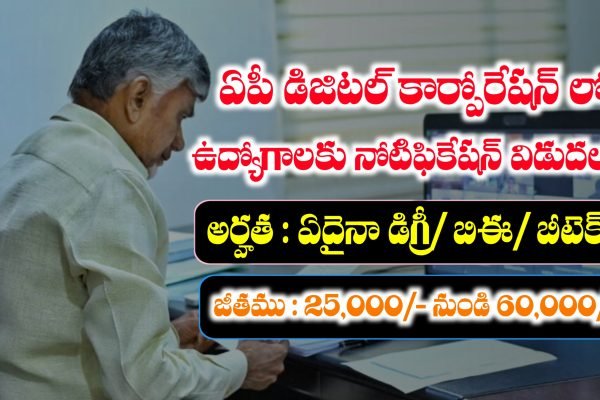 AP Digital Corporation Jobs