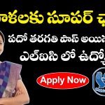 LIC భీమా సఖీ పథకం