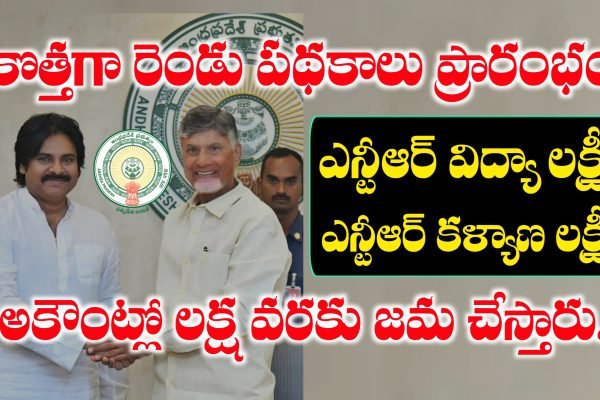 ఎన్టీఆర్ విద్యాలక్ష్మి పథకం