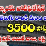 Canara bank Apprentice jobs Apply