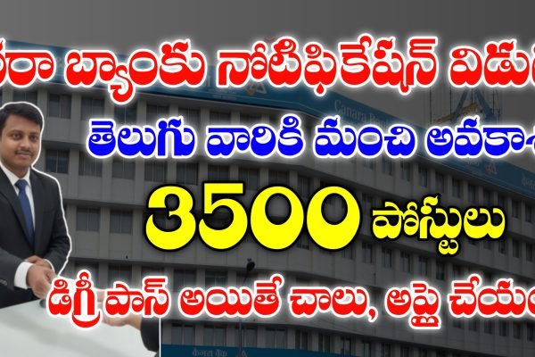 Canara bank Apprentice jobs Apply