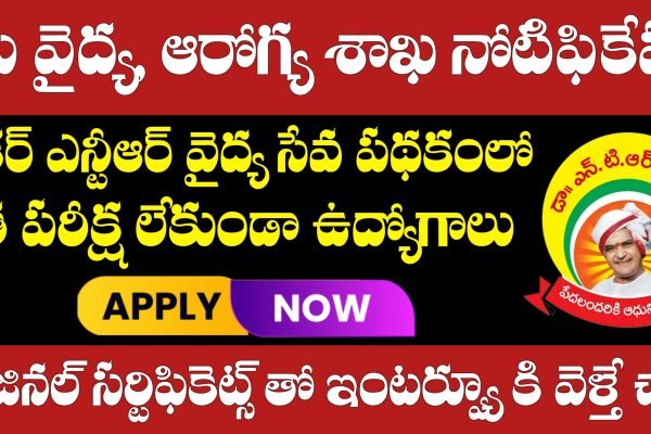 Dr NTR Vaidya Seva Trust Jobs