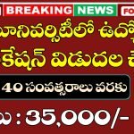 Adikavi Nannaya University Programmer Notification 2025