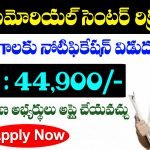 TMC Nurse Jobs Recruitment 2025