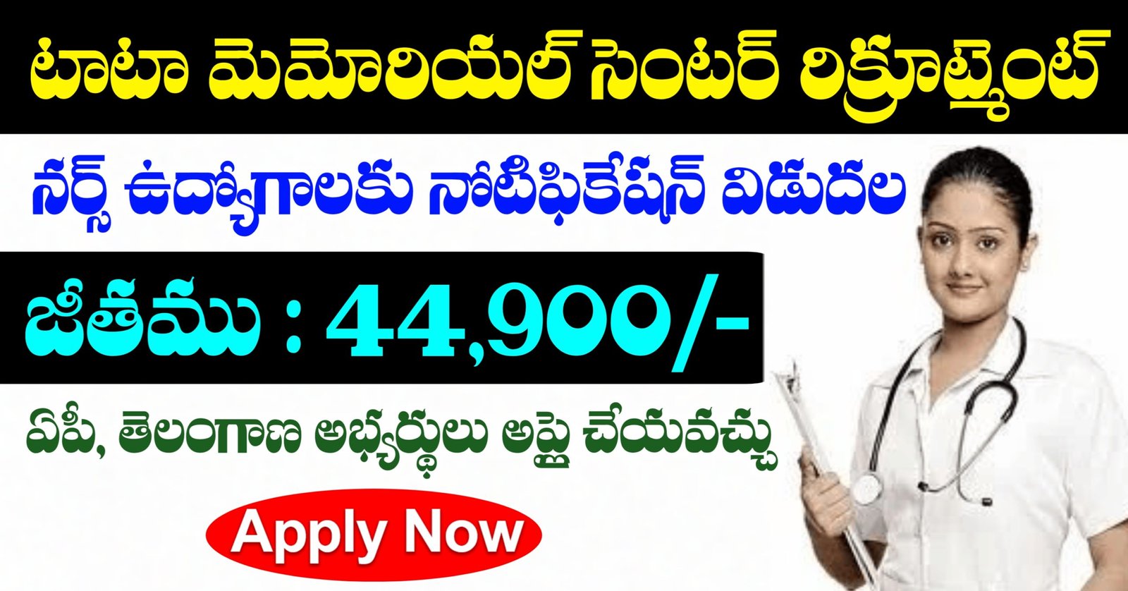 TMC Nurse Jobs Recruitment 2025