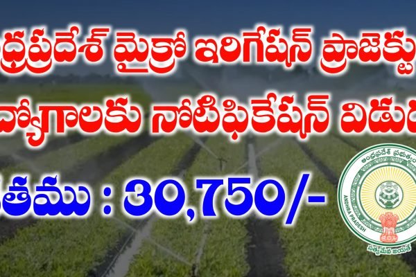 AP Outsourcing Jobs Recruitment 2025