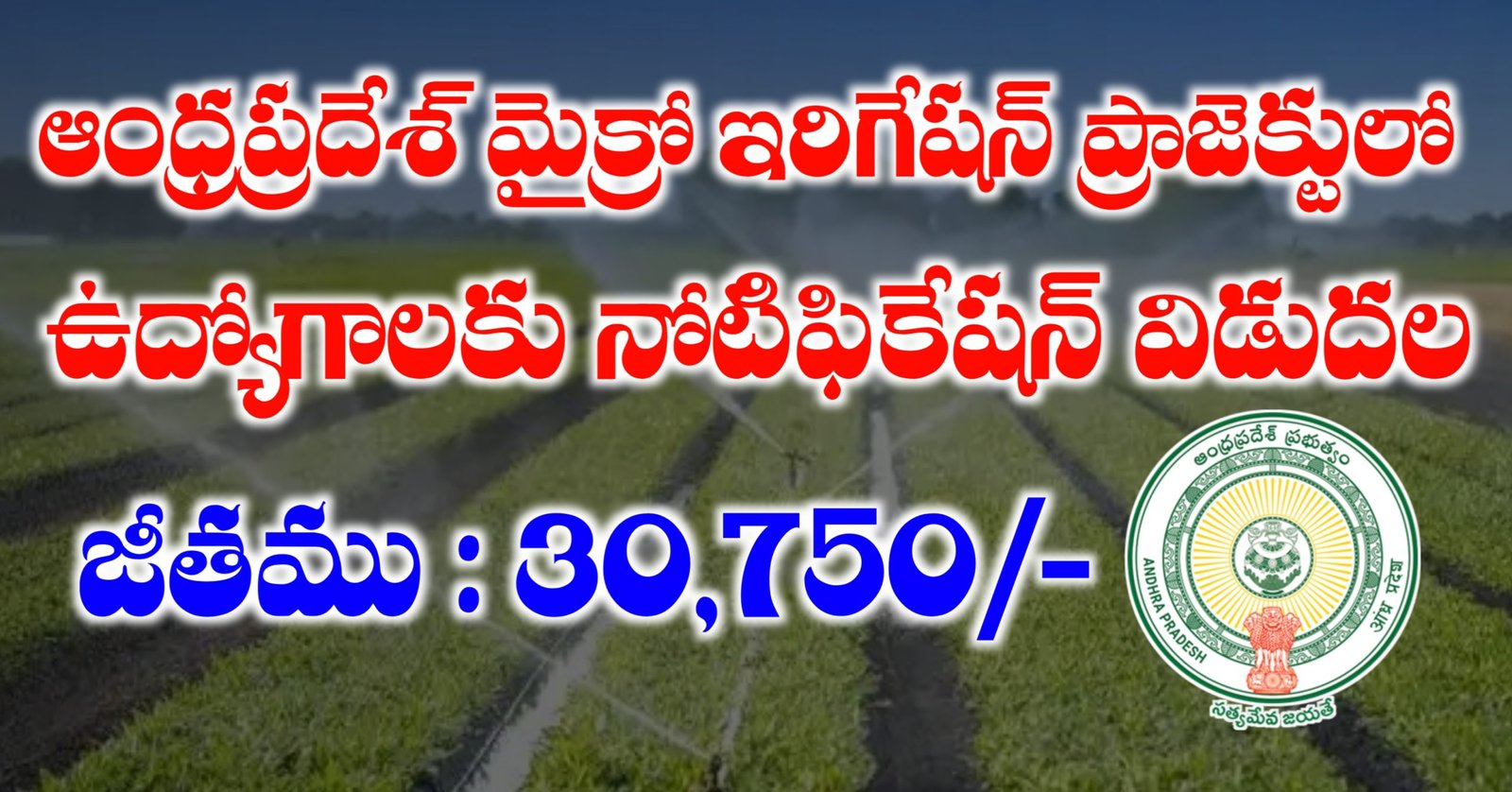 AP Outsourcing Jobs Recruitment 2025