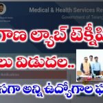 Download MHSRB Lab technician Selection List