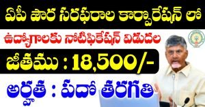 AP Civil Supplies Corporation Outsourcing Jobs