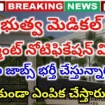 AP Contract Basis Jobs 2025