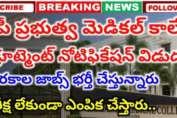 AP Contract Basis Jobs 2025