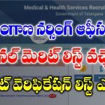 Download Telangana Nursing Officer Provision Merit List
