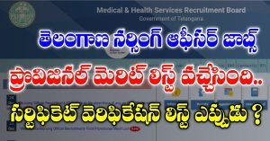 Download Telangana Nursing Officer Provision Merit List