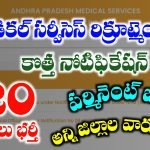 APMSRB Notification 2026