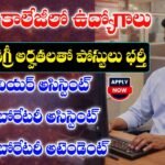 Delhi University IHE Notification 2026