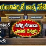 Andhra University Walk-in Interview