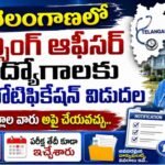 NIMS Nursing Officer Apply Link